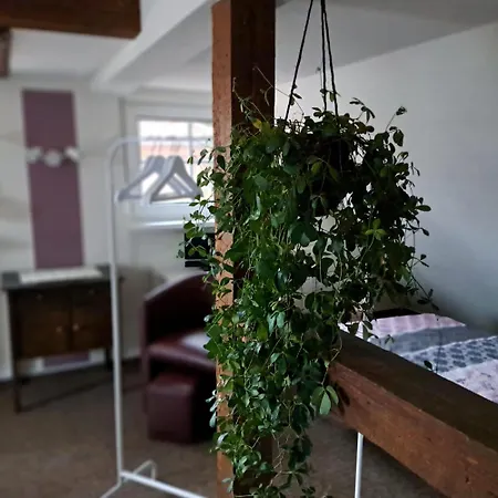 Dachstuebchen Mit 2 Zimmern Boizenburg